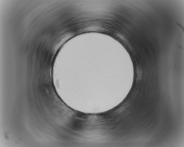 X0000100761322200807171333