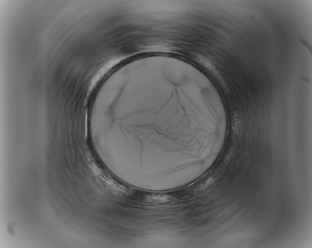 X0000100761323200807171333