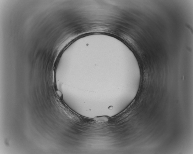 X0000100761324200807171333