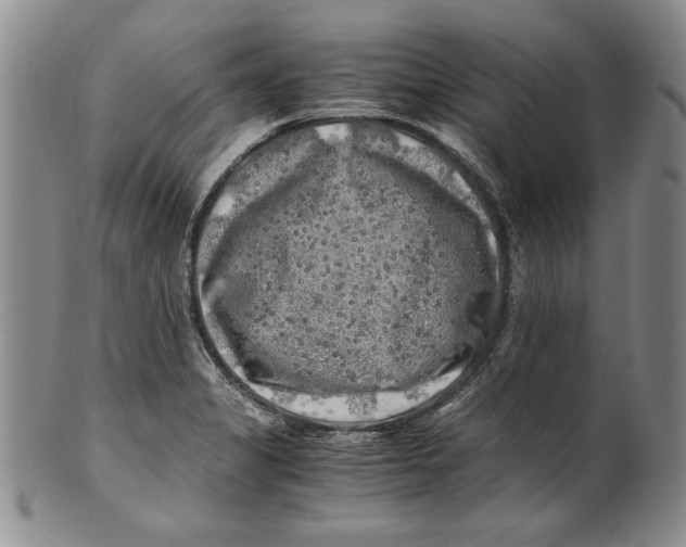 X0000100761325200807171333