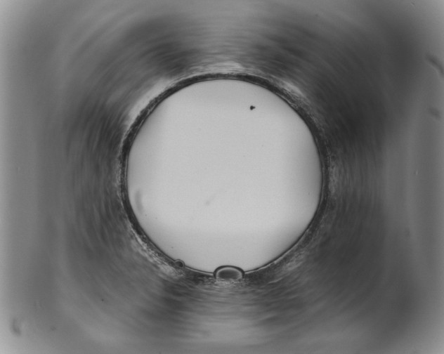 X0000100761326200807171333