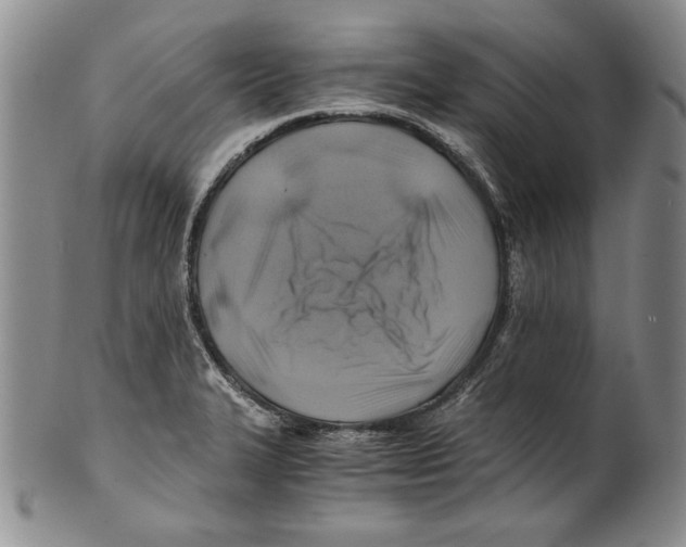 X0000100761327200807171333