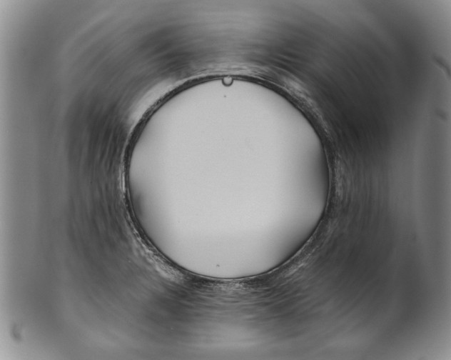 X0000100761328200807171333