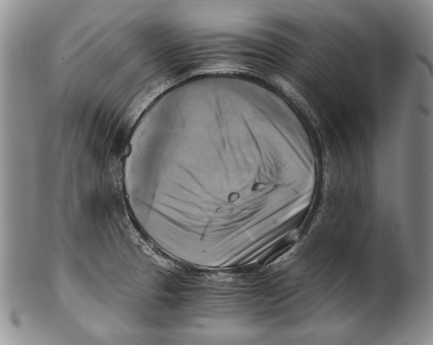 X0000100761329200807171333
