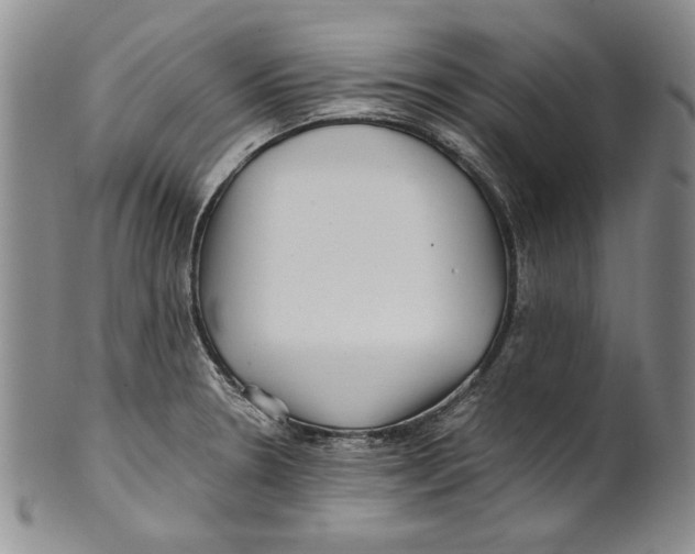 X0000100761330200807171333