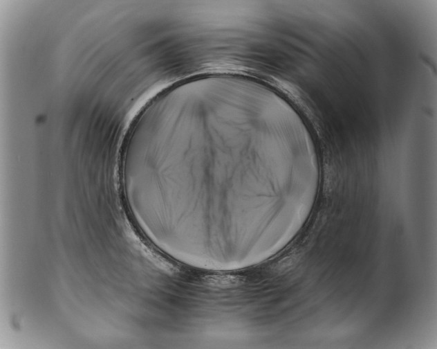 X0000100761331200807171333