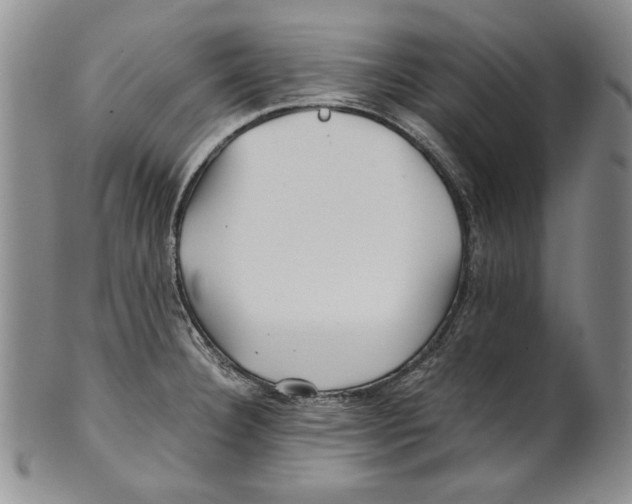 X0000100761332200807171333
