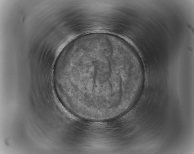 X0000100761333200807171333