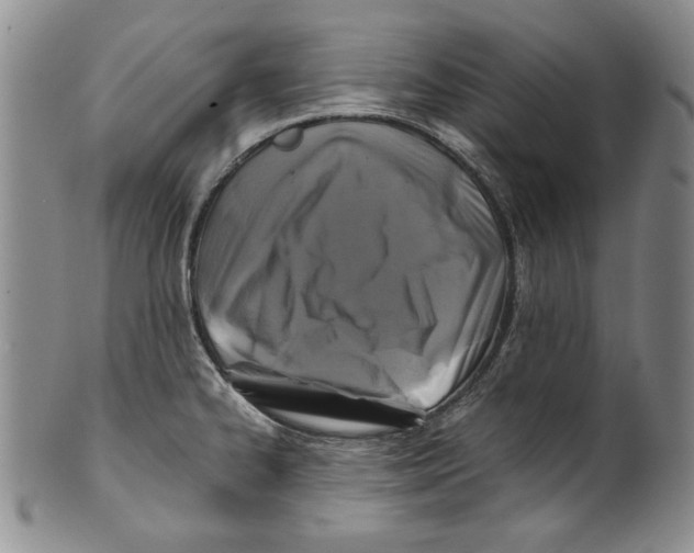 X0000100761334200807171333