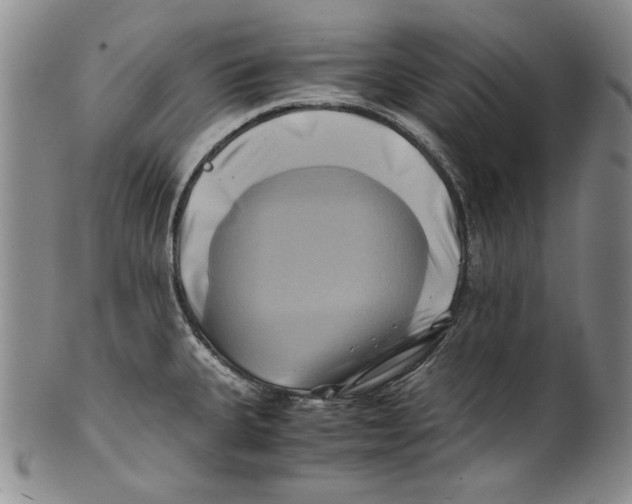 X0000100761335200807171333
