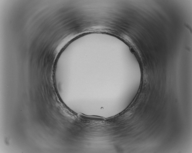 X0000100761336200807171333
