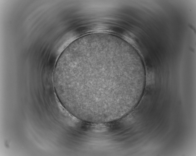 X0000100761338200807171333