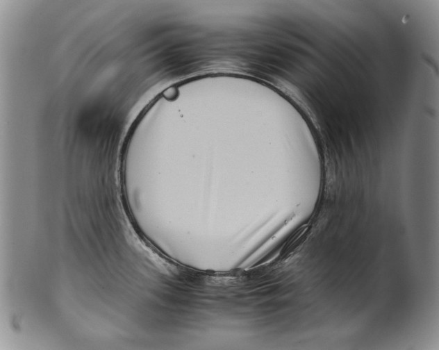 X0000100761339200807171333