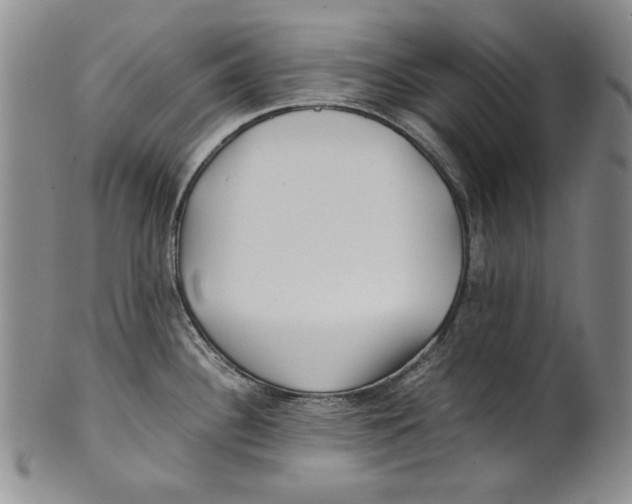 X0000100761340200807171333