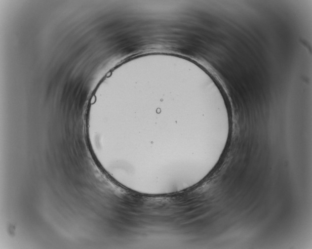X0000100761341200807171333
