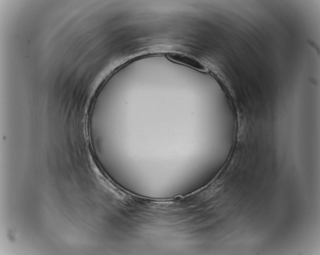 X0000100761342200807171333