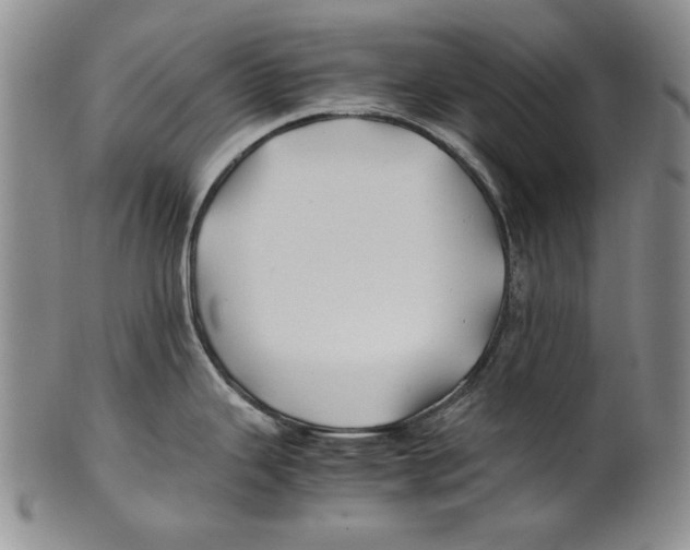 X0000100761343200807171333