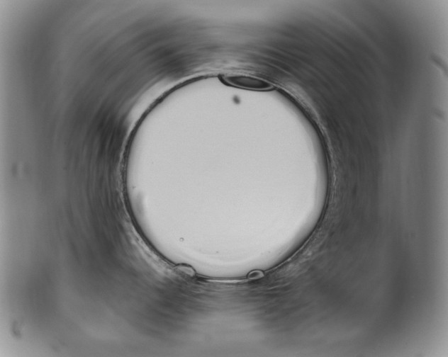X0000100761344200807171333