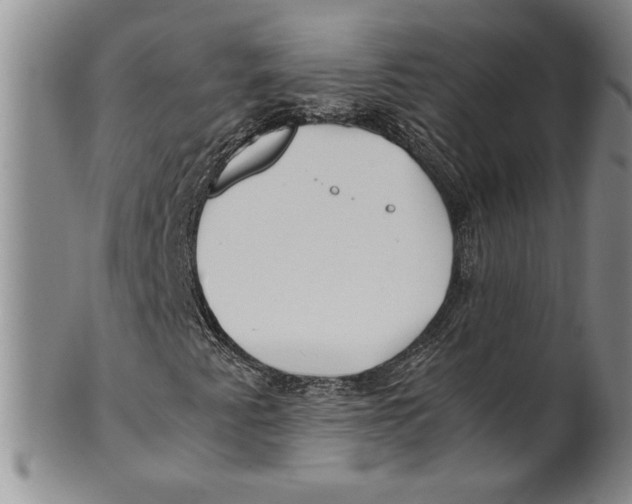 X0000100761345200807171332