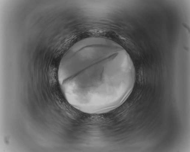 X0000100761346200807171332