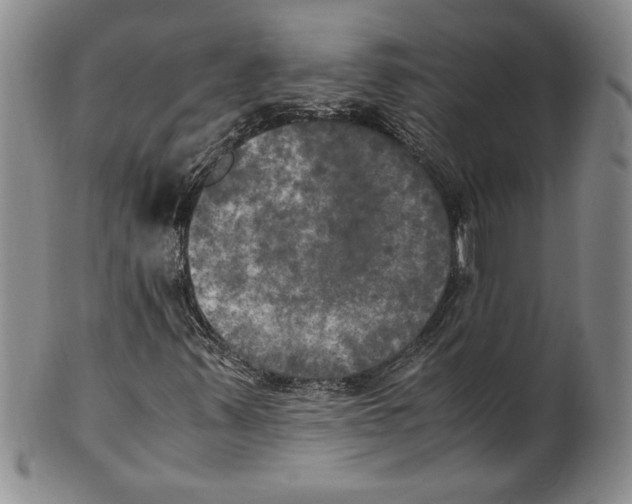 X0000100761347200807171332