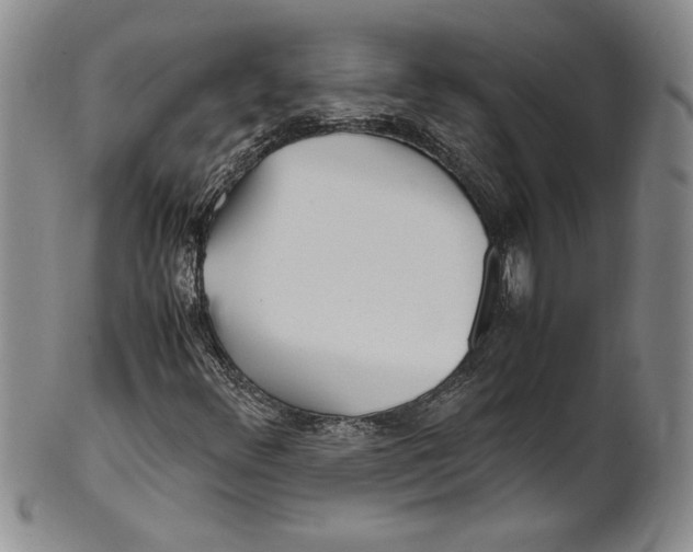 X0000100761348200807171332