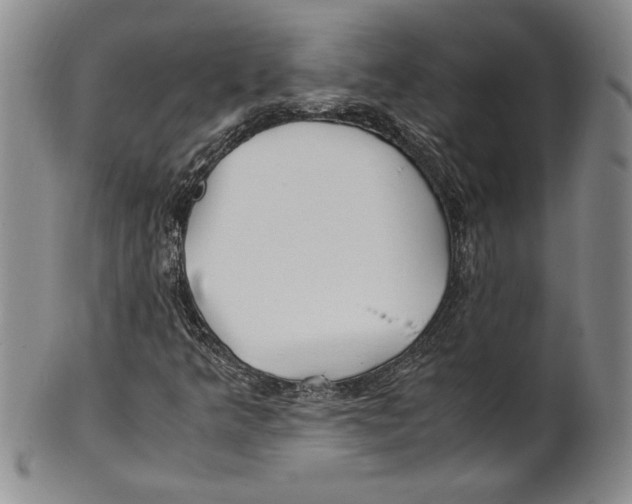X0000100761349200807171332