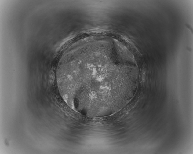 X0000100761350200807171332