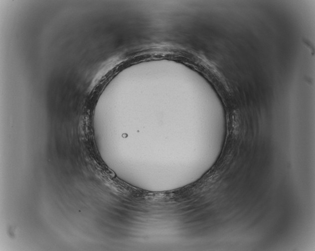X0000100761352200807171332