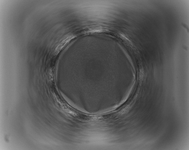 X0000100761353200807171332