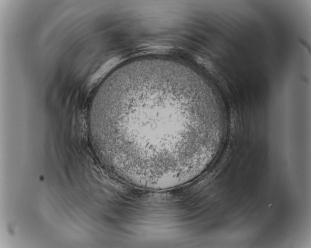 X0000100761354200807171332