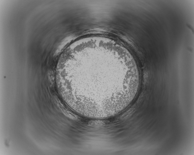X0000100761355200807171332