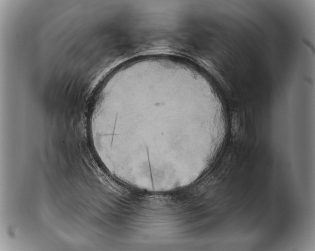 X0000100761356200807171332