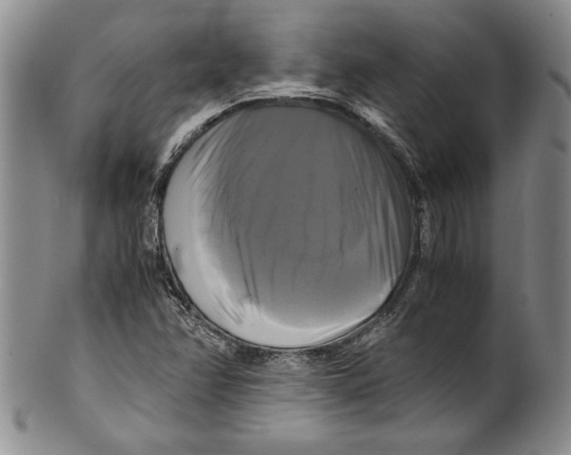 X0000100761358200807171332