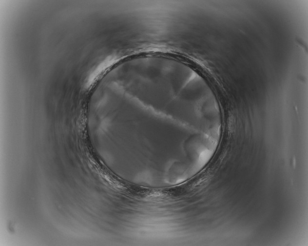 X0000100761359200807171332