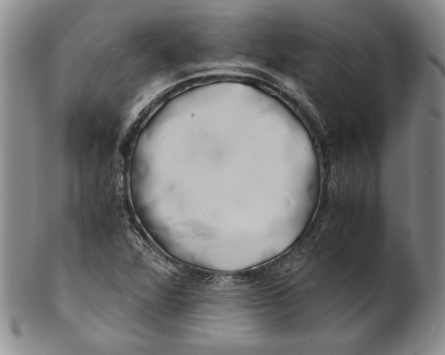 X0000100761360200807171332