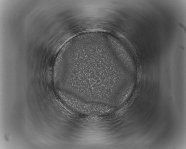X0000100761361200807171332