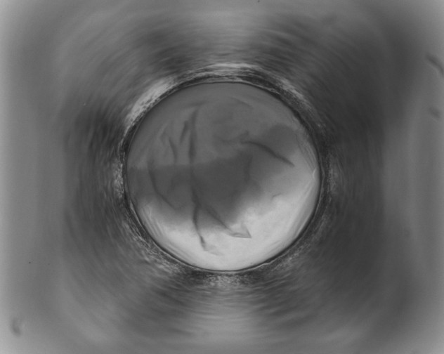 X0000100761362200807171332