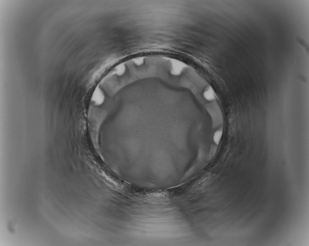 X0000100761363200807171332
