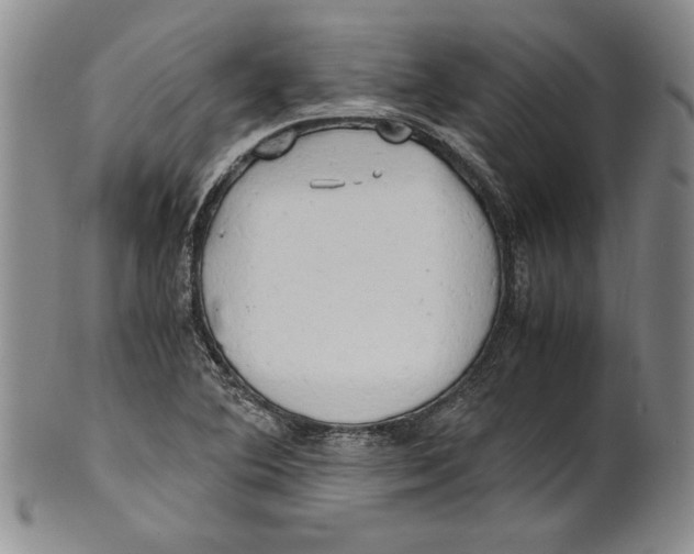 X0000100761364200807171332