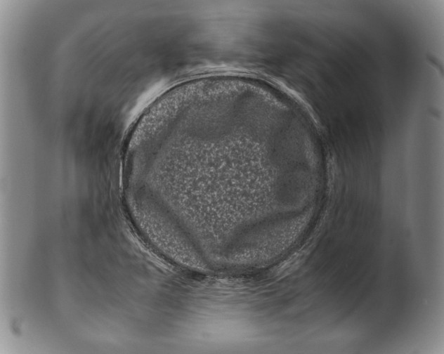 X0000100761365200807171332