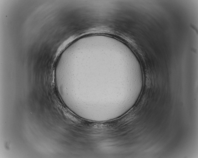 X0000100761366200807171332