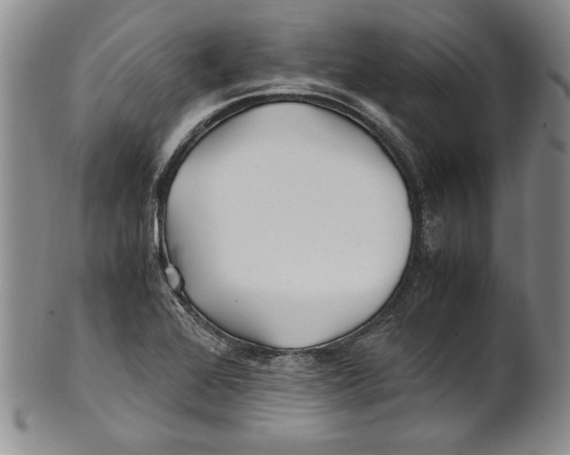X0000100761368200807171332