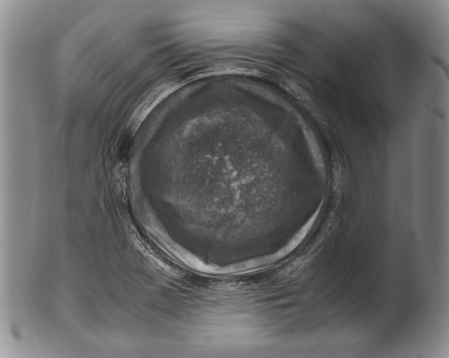 X0000100761369200807171332