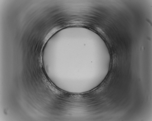 X0000100761370200807171332