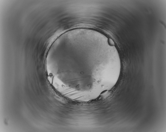 X0000100761371200807171332