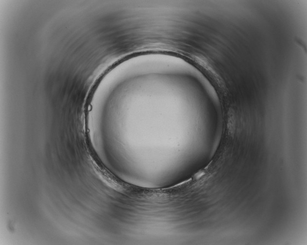 X0000100761372200807171332