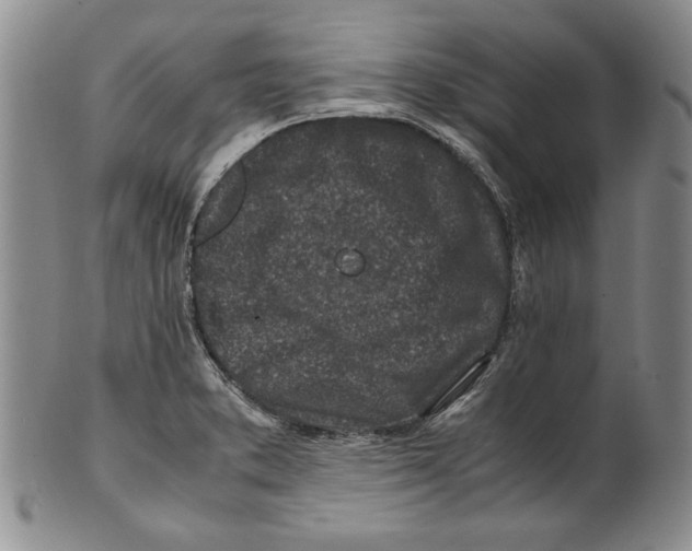 X0000100761373200807171332