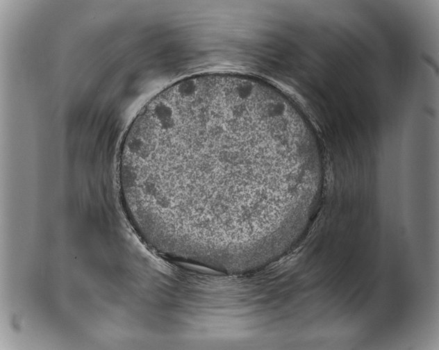 X0000100761375200807171332