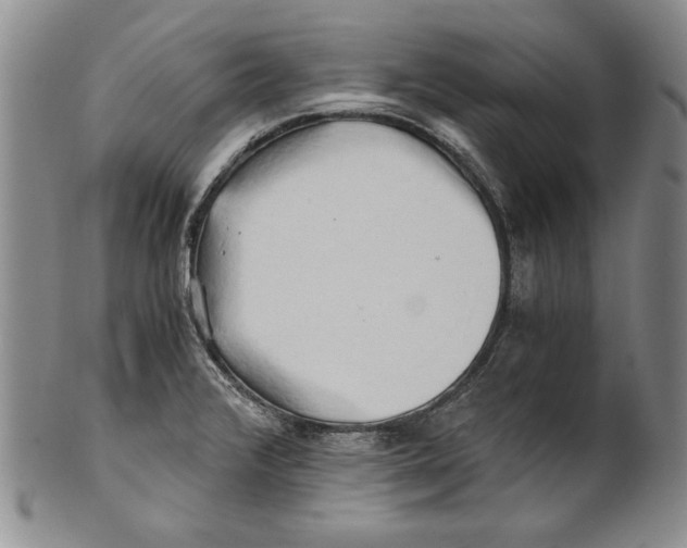 X0000100761376200807171332